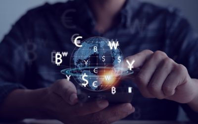 Novembre 2024 – Analyse du mois
